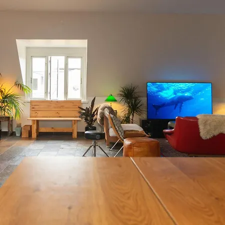 Apartment Penthouse In The Heart Of The Copenhagen