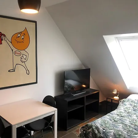 Penthouse In The Heart Of The Apartment Copenhagen