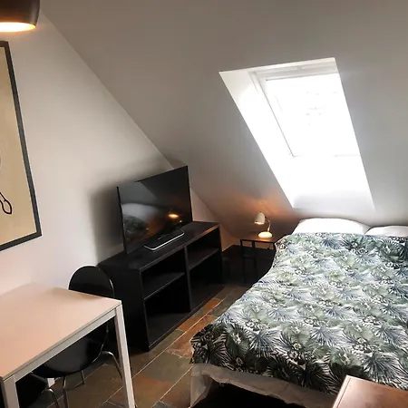 Apartment Penthouse In The Heart Of The Copenhagen
