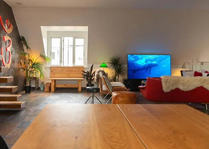 Apartment Premium Penthouse In The Center Of Copenhagen