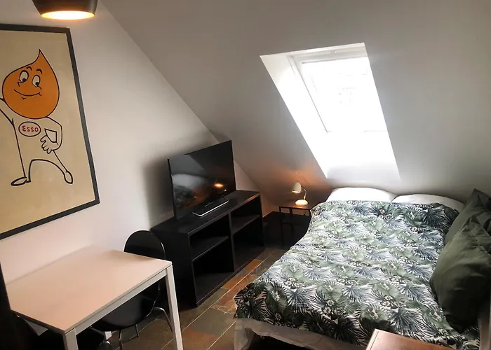 Apartment Premium Penthouse In The Center Of Copenhagen